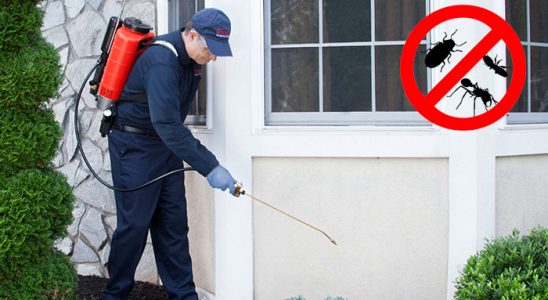 Dereli Böcek İlaçlama böcek ilaçlama ve haşere kontrolü — ilaclama-tr.com